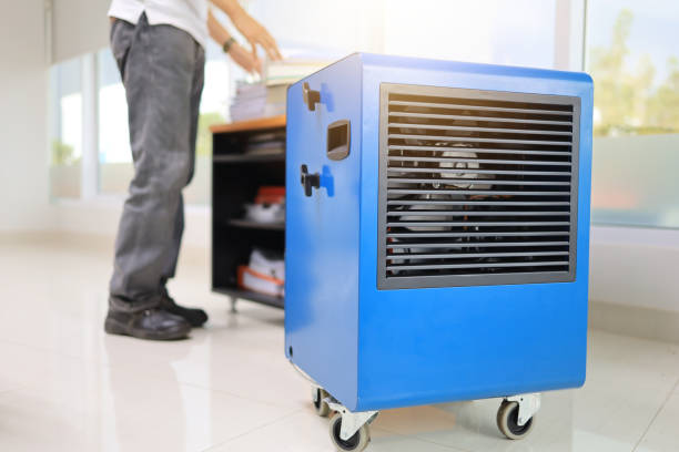 Professional Mold Removal in Glen Dale, WV