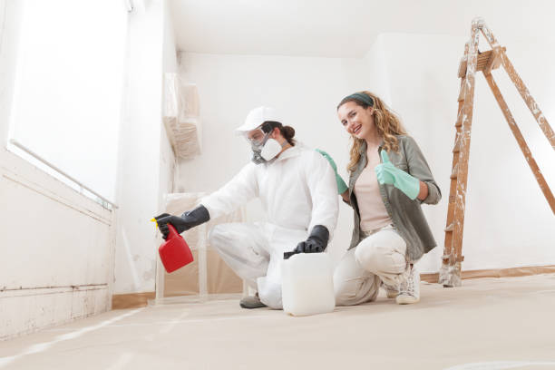 Best Commercial Mold Inspection  in Glen Dale, WV