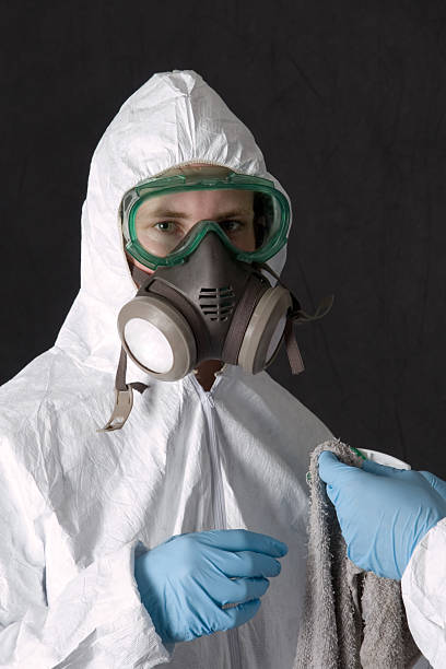 Mold Removal for HVAC Installations in Glen Dale, WV